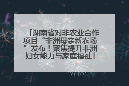 湖南省对非农业合作项目“非洲母亲新农场”发布！聚焦提升非洲妇女能力与家庭福祉