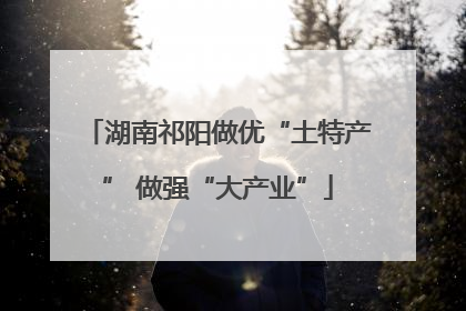 湖南祁阳做优“土特产” 做强“大产业”