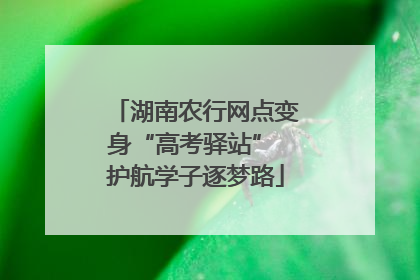 湖南农行网点变身“高考驿站” 护航学子逐梦路