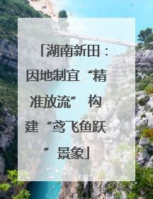 湖南新田：因地制宜“精准放流” 构建“鸢飞鱼跃”景象
