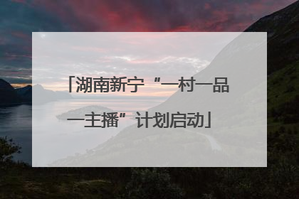 湖南新宁“一村一品一主播”计划启动