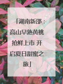 湖南新邵：高山早熟黄桃抢鲜上市 开启夏日甜蜜之旅