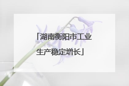 湖南衡阳市工业生产稳定增长