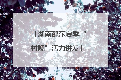 湖南邵东夏季“村晚”活力迸发