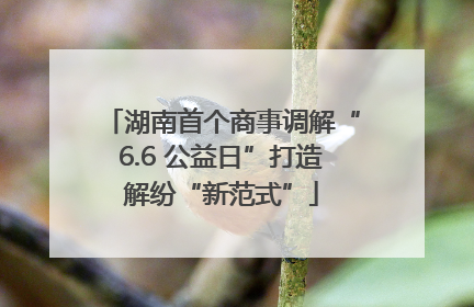 湖南首个商事调解“6.6 公益日”打造解纷“新范式”