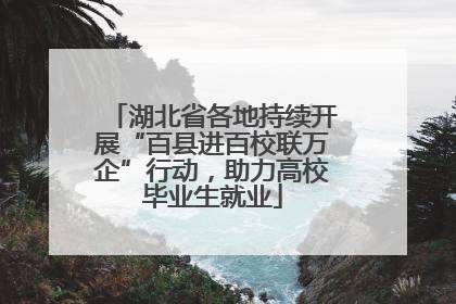 湖北省各地持续开展“百县进百校联万企”行动，助力高校毕业生就业