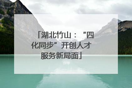 湖北竹山：“四化同步”开创人才服务新局面