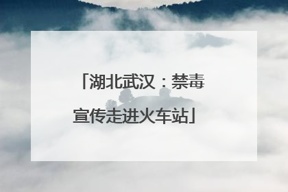 湖北武汉：禁毒宣传走进火车站