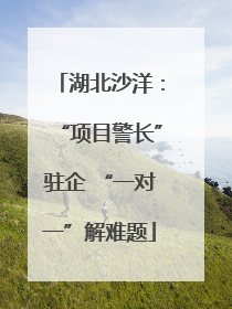 湖北沙洋：“项目警长”驻企 “一对一”解难题