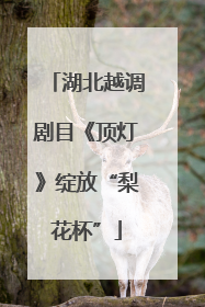 湖北越调剧目《顶灯》绽放“梨花杯”