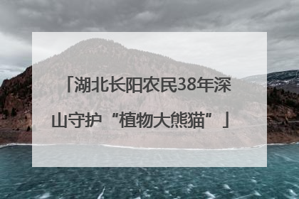湖北长阳农民38年深山守护“植物大熊猫”