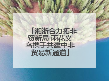 湘浙合力拓非贸新局 雨花义乌携手共建中非贸易新通道