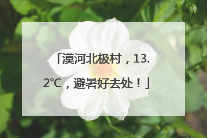 漠河北极村，13.2℃，避暑好去处！