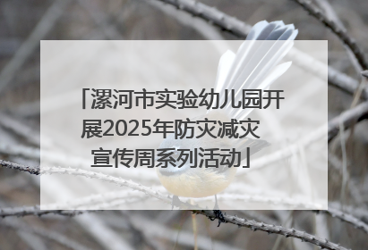 漯河市实验幼儿园开展2025年防灾减灾宣传周系列活动