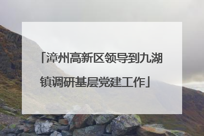 漳州高新区领导到九湖镇调研基层党建工作