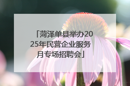 菏泽单县举办2025年民营企业服务月专场招聘会