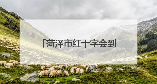 菏泽市红十字会到单县开展基金救助儿童回访慰问活动