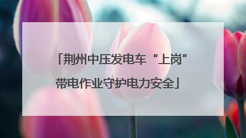 荆州中压发电车“上岗” 带电作业守护电力安全