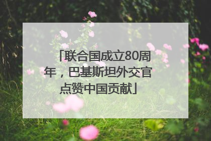 联合国成立80周年，巴基斯坦外交官点赞中国贡献