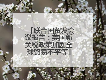 联合国贸发会议报告：美国新关税政策加剧全球贸易不平等