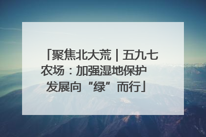 聚焦北大荒｜五九七农场：加强湿地保护 发展向“绿”而行