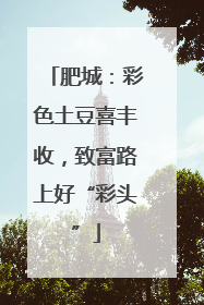 肥城：彩色土豆喜丰收，致富路上好“彩头”
