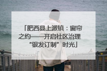 肥西县上派镇：窗帘之约——开启社区治理“银发订制”时光