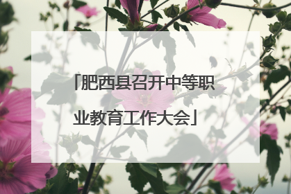 肥西县召开中等职业教育工作大会