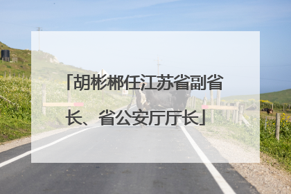 胡彬郴任江苏省副省长、省公安厅厅长