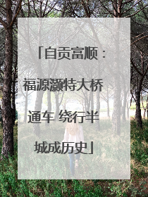 自贡富顺：福源灏特大桥通车 绕行半城成历史