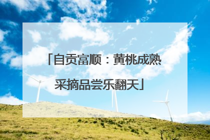 自贡富顺：黄桃成熟 采摘品尝乐翻天