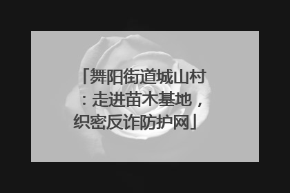 舞阳街道城山村：走进苗木基地，织密反诈防护网