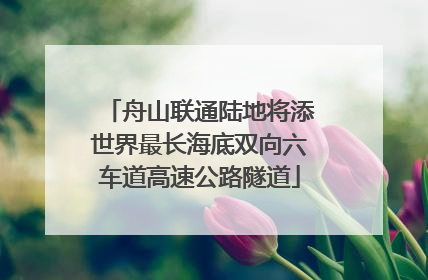 舟山联通陆地将添世界最长海底双向六车道高速公路隧道