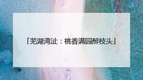 芜湖湾沚：桃香满园醉枝头