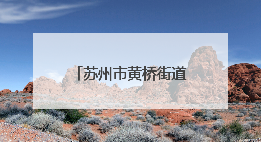 苏州市黄桥街道占上社区为新业态群体送上“流动的温暖”！