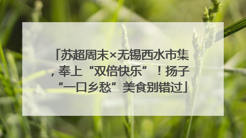 苏超周末×无锡西水市集，奉上“双倍快乐”！扬子“一口乡愁”美食别错过