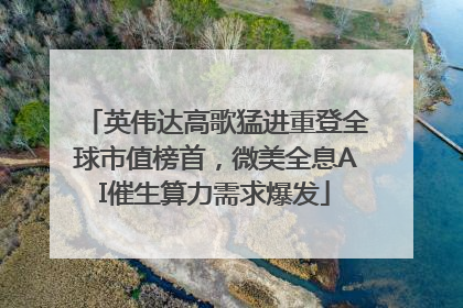 英伟达高歌猛进重登全球市值榜首，微美全息AI催生算力需求爆发