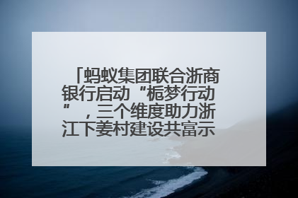 蚂蚁集团联合浙商银行启动“栀梦行动”，三个维度助力浙江下姜村建设共富示范区示范点