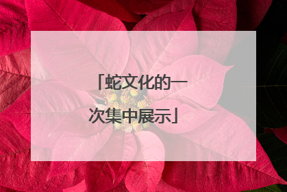 蛇文化的一次集中展示