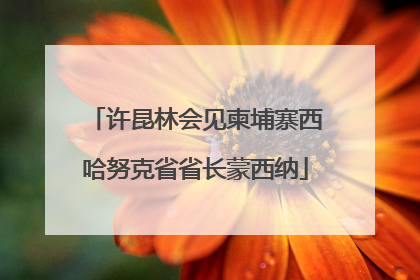 许昆林会见柬埔寨西哈努克省省长蒙西纳