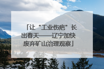 让“工业伤疤”长出春天——辽宁加快废弃矿山治理观察
