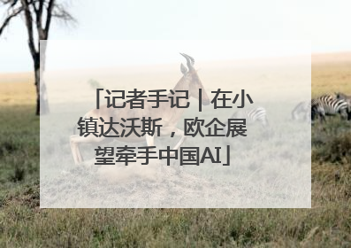 记者手记｜在小镇达沃斯，欧企展望牵手中国AI