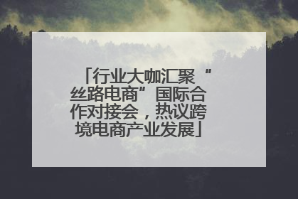 行业大咖汇聚“丝路电商”国际合作对接会，热议跨境电商产业发展