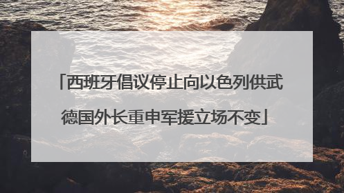 西班牙倡议停止向以色列供武 德国外长重申军援立场不变