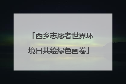 西乡志愿者世界环境日共绘绿色画卷