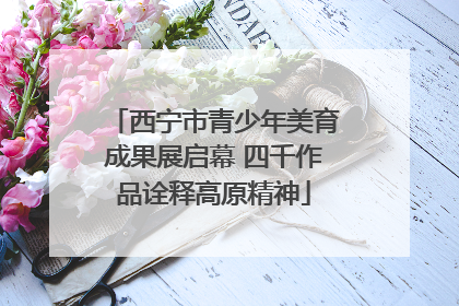 西宁市青少年美育成果展启幕 四千作品诠释高原精神