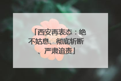 西安再表态：绝不姑息、彻底斩断、严肃追责