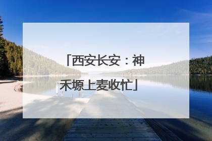 西安长安：神禾塬上麦收忙