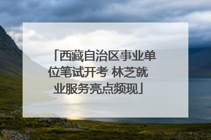 西藏自治区事业单位笔试开考 林芝就业服务亮点频现