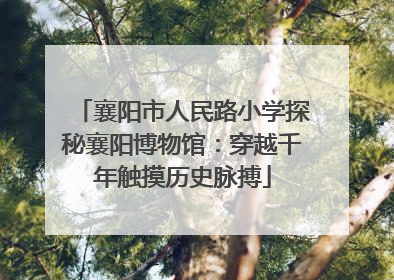 襄阳市人民路小学探秘襄阳博物馆：穿越千年触摸历史脉搏